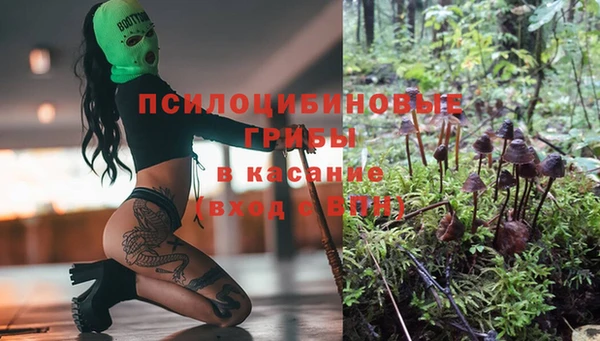 герыч Алексин